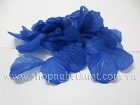 Cánh Khía màu Xanh Biển