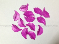 Cánh Lá Vẹo - Trong - Màu 10h ( Tím Hồng)