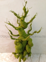 Gốc Bonsai Rêu Mai Đào  - Mã TBS8