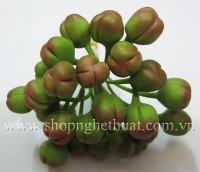 Nụ lan hồ điệp màu Xanh