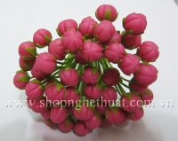 Nụ đào hồng đậm