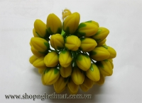 Nụ mai xanh vàng