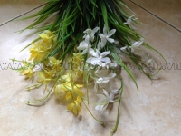 Cỏ hoa lan