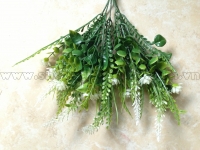 Hoa đá điểm chồn 5 nhánh