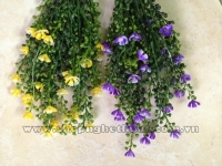 Lộc vừng điểm hoa