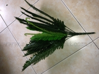 Cụm vạn tuế