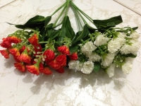 Cụm Phăng nhí