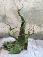 Gốc Bonsai Gỗ Lũa: Thân Cổ Thụ - Mã: TL 30