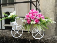 Xe Đạp giỏ Hoa - Mã: HPL 120