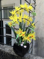 Hoa Địa Lan Vàng - Mã: HPL 122