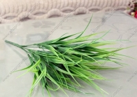 Cụm cỏ mới 7 nhánh