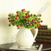 Cụm Quả Cherry có lá