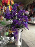 Hoa Địa Lan Tím - Mã: HPL 09