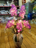 Hoa Lan Chùm Đèn - Mã: HPL 135