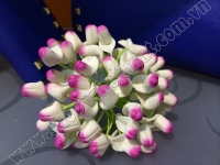 Nụ lan dendro trắng chấm 10h