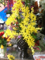 Hoa Địa Lan Vàng - HPL 142