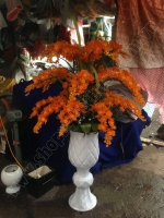 Hoa Lan Cam - Mã: HPL 154