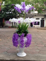 Hoa pha lê nghệ thuật - Mã HPL 170