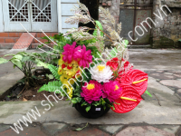 Hoa Pha Lê - Hoa Mẫu Đơn Trắng Hồng - Mã: HPL 206