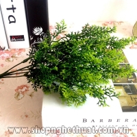 Cụm Bách Diệp