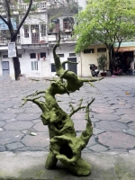 Gốc Bonsai Gỗ Lũa - cỡ To - Mã: G2