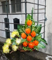 Hoa Mẫu Đơn màu Cam - Mã: HPL 219