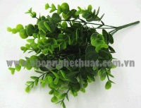 Cụm Vẩy Ốc To