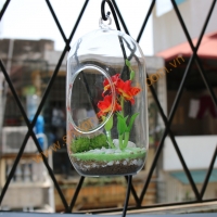 Ống bầu dục Dài treo