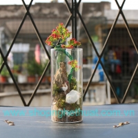 Ống Trụ Dài cỡ số 3