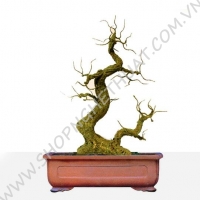 Gốc Bonsai Gỗ - Thế Mẫu Tử Dáng Hươu - Mã: MTH