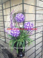 Hoa Cẩm Tú Cầu màu Trắng Tím