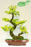 Hoa Mai Vàng - Thế Mẫu Tử - Mã: HPL 238