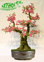Hoa Đào Màu Hồng- Mã: HPL 245