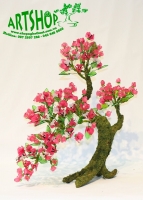 Hoa Giấy Trên Gốc Bonsai