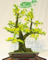 Hoa Mai Vàng trên thế Huynh Đệ - Mã: HPL 248