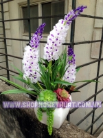 Hoa Phi Yến Trắng Tím - Mã: HPL 254