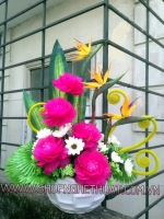 Hoa Cải Bắp Hồng - Mã: HPL 256