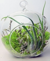 Tròn treo có 3 lỗ cỡ số 1