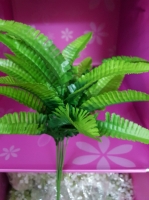 Dương sỉ bé 21 lá loại đẹp