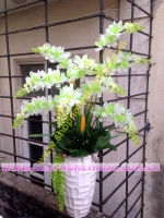 Hoa Lan Trắng