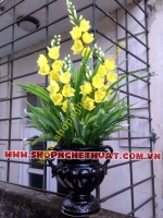 Hoa Địa Lan Vàng 