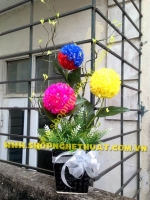 Hoa Cẩm Tú Cầu Đa Sắc