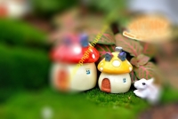 Nhà nấm nhỏ