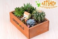 Hộp gỗ chữ nhật (6 x 13 x 19cm)