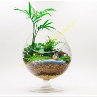 Ly cầu có chân cỡ số 1 (10cm)