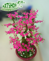 Gốc Tam Đa (Phúc - Lộc - Thọ)