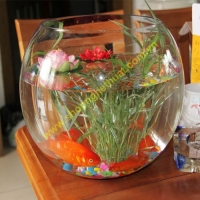 Ang tròn số 4 (20cm)