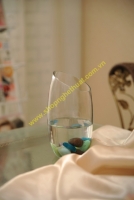 Bình trụ vát cao (8 x 20cm)