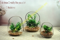 Bình vát nhọn cỡ số 1 (10cm)