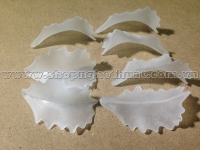 Cánh Oro ( Đục - Size To) màu Trắng